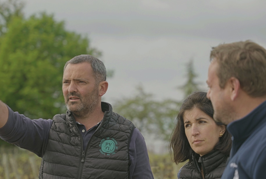 Besoin d'être accompagné dans votre sélection massale, plantation ou complantation ? PVVL, pépiniériste viticole conseille les viticulteurs de France et à l'international.